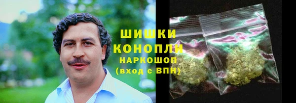 2c-b Горнозаводск
