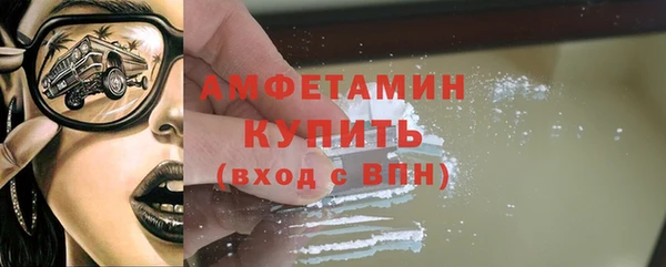 apvp Горняк