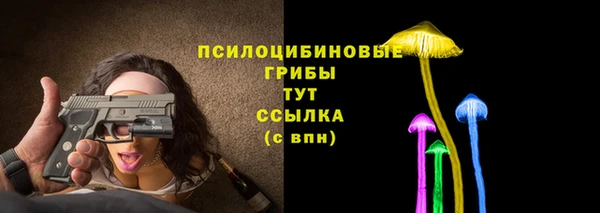 2c-b Горнозаводск