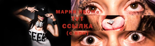 apvp Горняк
