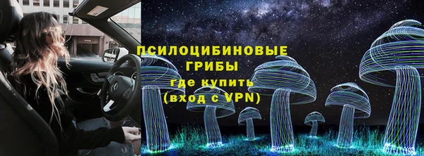 2c-b Горнозаводск