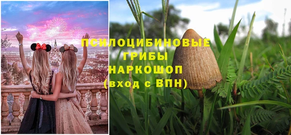 apvp Горняк