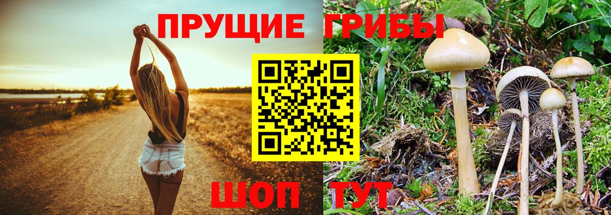 Галлюциногенные грибы Magic Shrooms  Вход с VPN  Рузаевка 