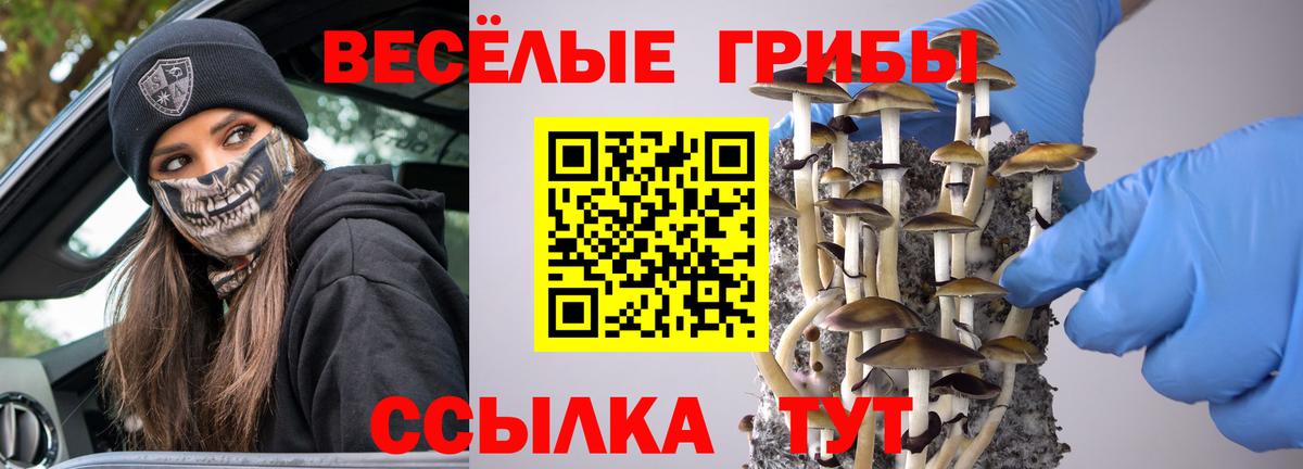 Псилоцибиновые грибы GOLDEN TEACHER Рузаевка