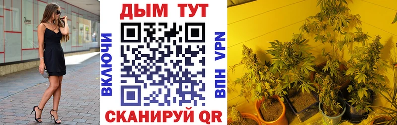 купить   MEGA онион  МАРИХУАНА SATIVA & INDICA  Рузаевка 